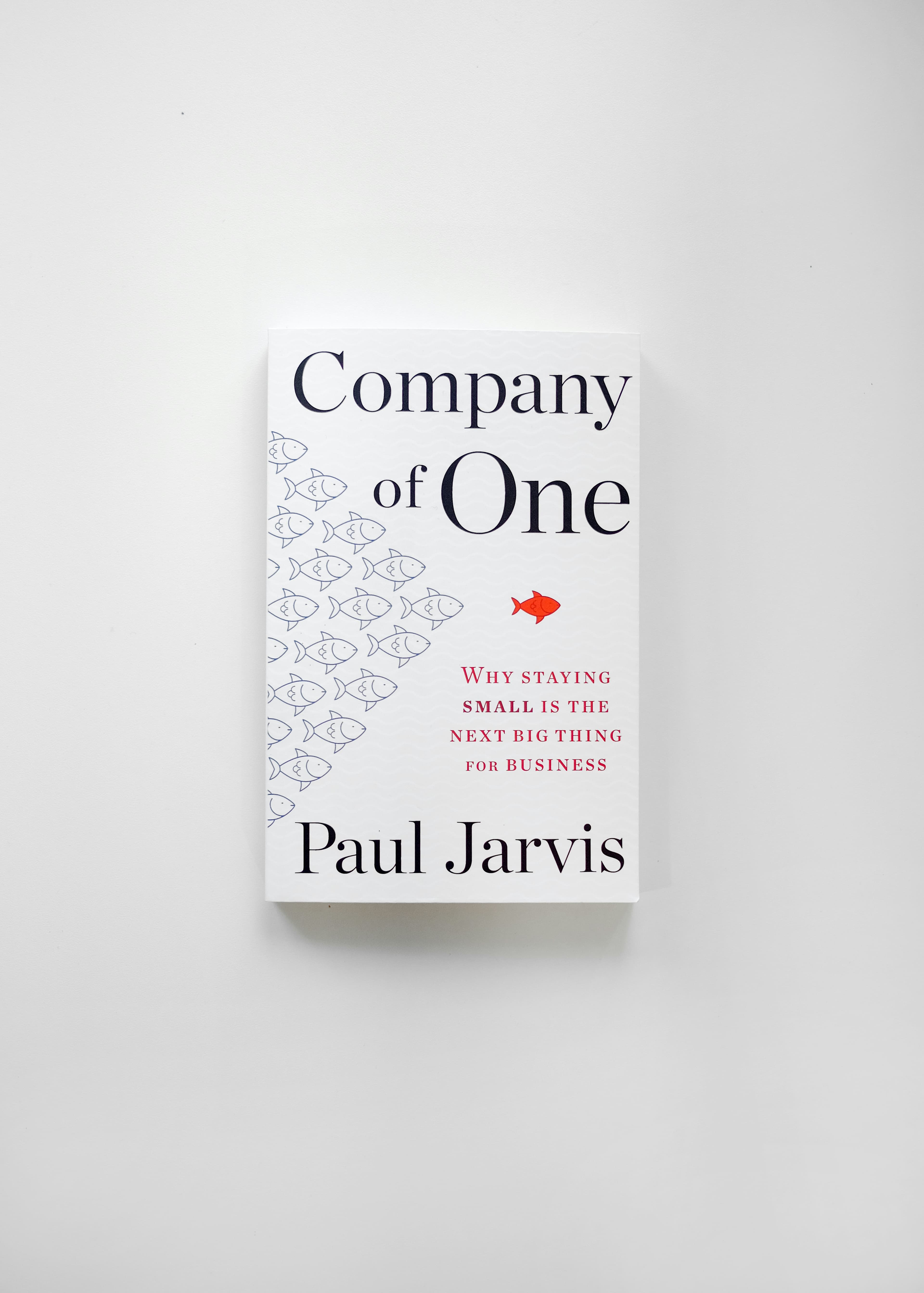Company of One: Why Staying Small Is the Next Big Thing for Business