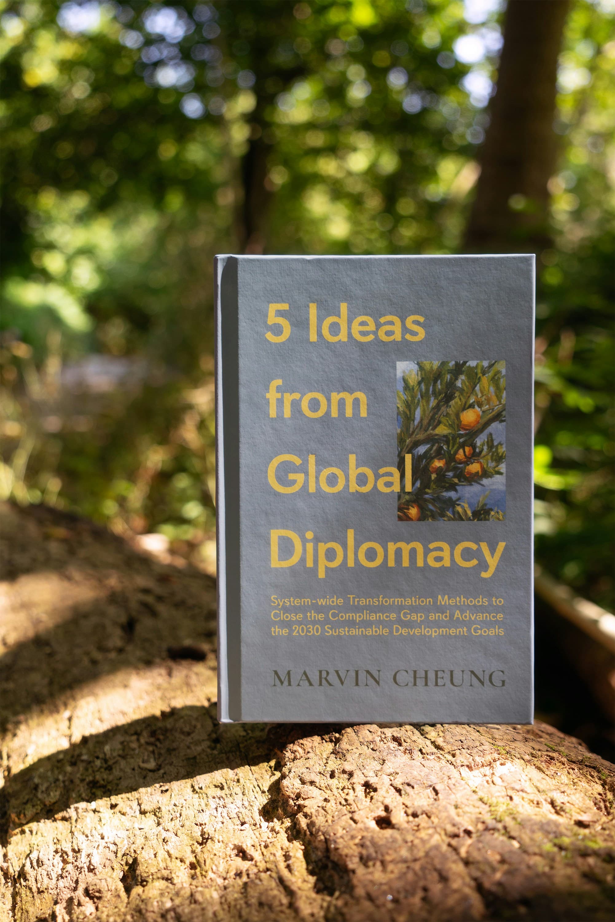 Ideas from Global Diplomacy (Marvin Cheung)